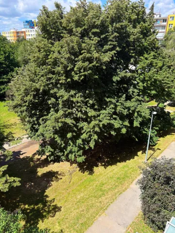 Fotografie nemovitosti: Praha