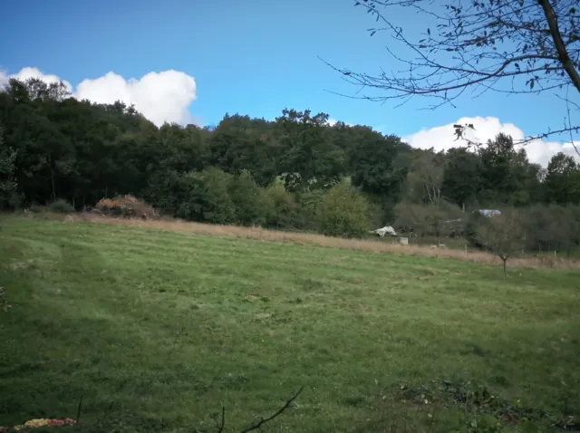 Fotografie nemovitosti: Horní Lhota