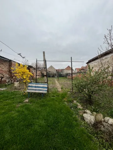 Fotografie nemovitosti: Dolní Dunajovice