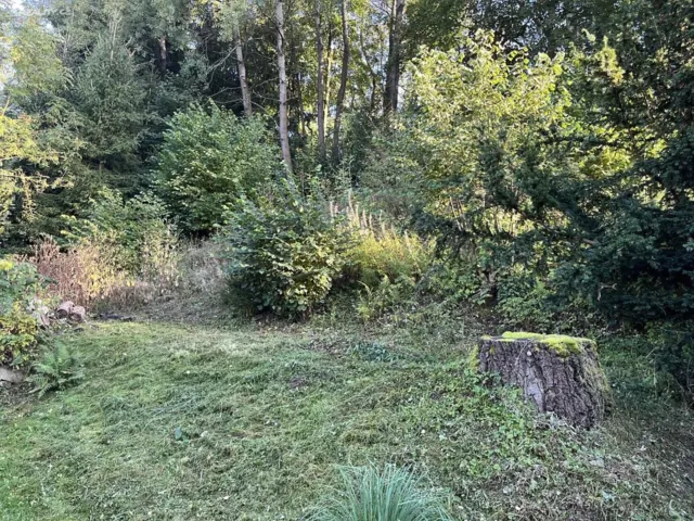 Fotografie nemovitosti: Nová Paka