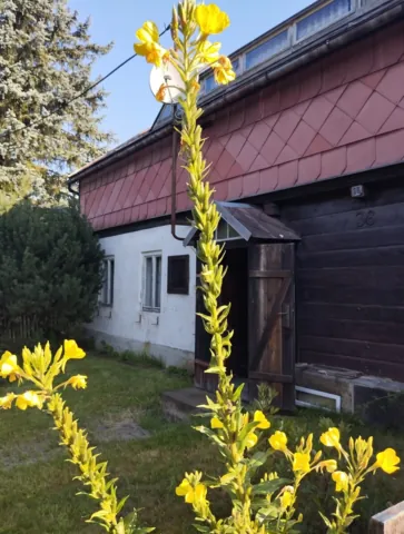 Fotografie nemovitosti: Děčín