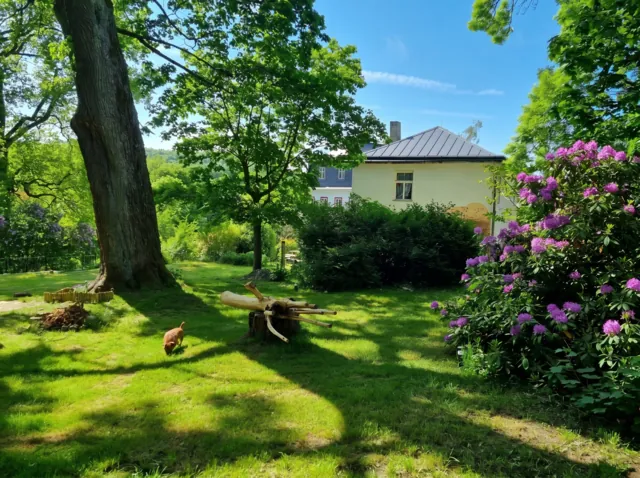 Fotografie nemovitosti: Česká Lípa