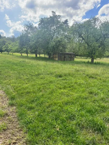 Fotografie nemovitosti: Morašice