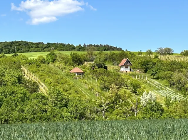 Fotografie nemovitosti: Archlebov