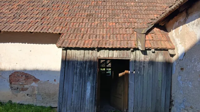 Fotografie nemovitosti: 28. října, Suchdol nad Lužnicí