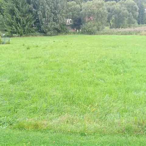 Fotografie nemovitosti: Šumperk
