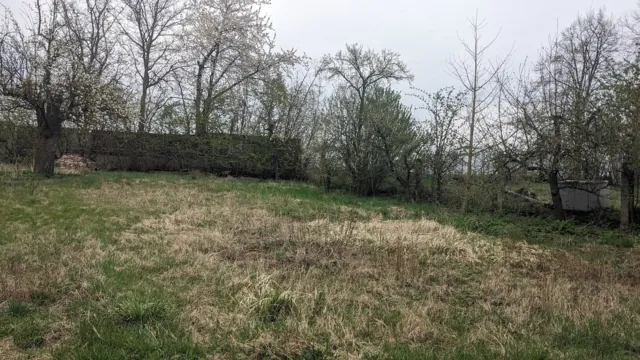 Fotografie nemovitosti: Rybníček