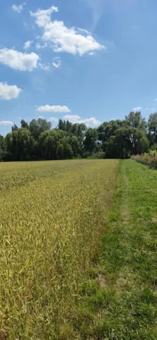 Fotografie nemovitosti: Šakvice
