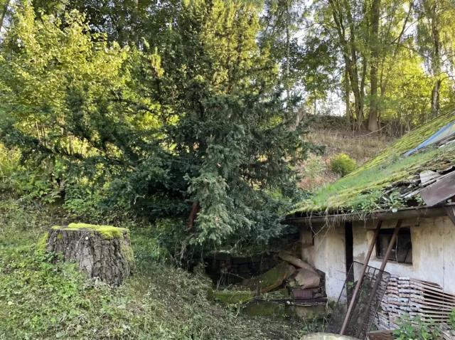 Fotografie nemovitosti: Nová Paka