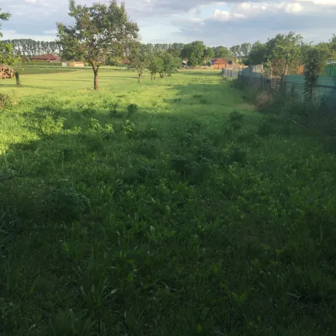 Fotografie nemovitosti: Hrušovany nad Jevišovkou