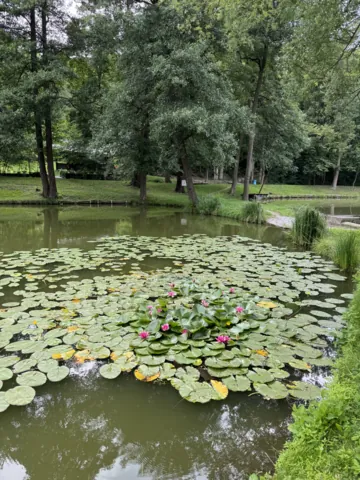 Fotografie nemovitosti: Táborová, Bělá pod Bezdězem