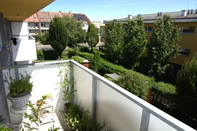 Fotografie nemovitosti: Moutnická, Brno