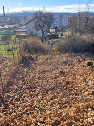 Fotografie nemovitosti: Hodkovice nad Mohelkou