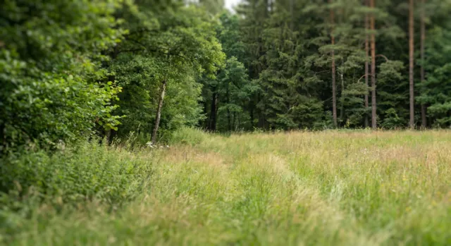 Fotografie nemovitosti: Litoměřice