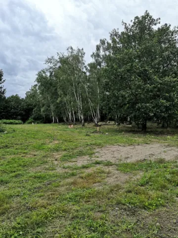 Fotografie nemovitosti: Dubí