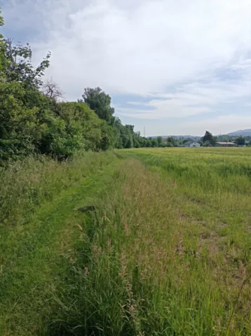 Fotografie nemovitosti: Nový Jičín