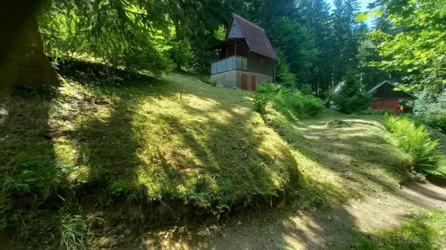 Fotografie nemovitosti: Pastviny