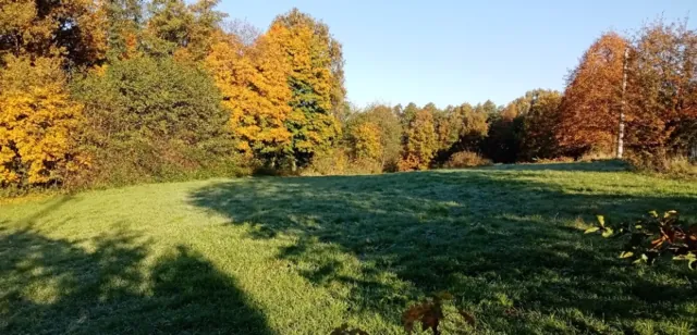 Fotografie nemovitosti: Petřvald