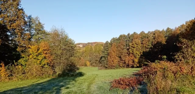 Fotografie nemovitosti: Petřvald