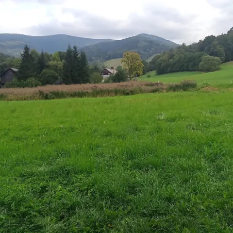 Fotografie nemovitosti: Šumperk