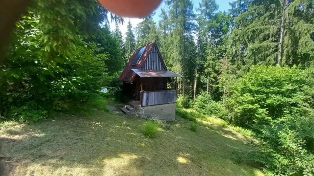 Fotografie nemovitosti: Pastviny