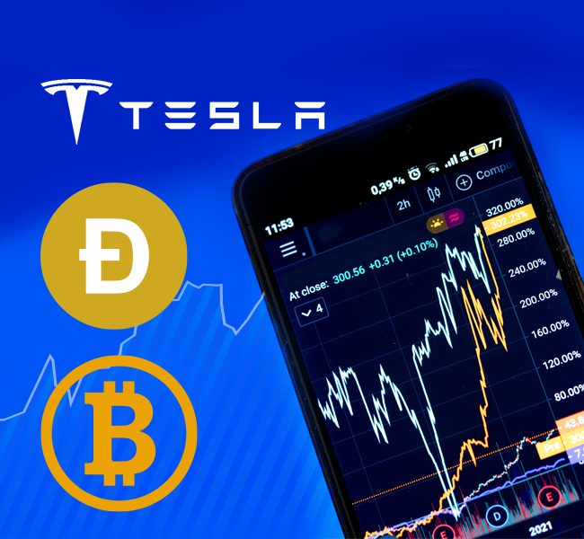 Market Winners: Bitcoin, Tesla, Dogecoin, and more!
