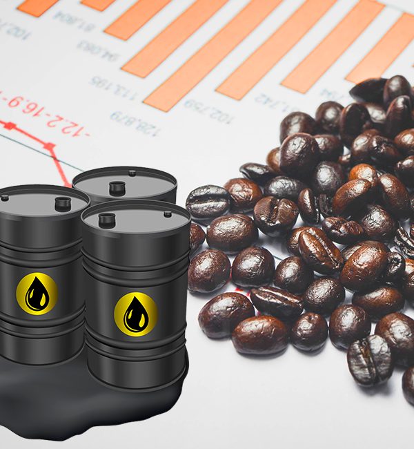 What happened in commodities 2021