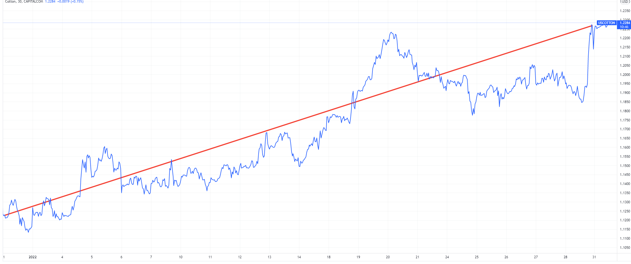 Market winners: Tesla, Zynga, cotton, and more!  