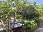 公寓-顶层公寓 El Horno, Playa Paraiso, Adeje