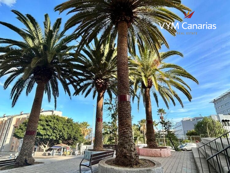 公寓 Santa Cruz De Tenerife, Santa Cruz de Tenerife