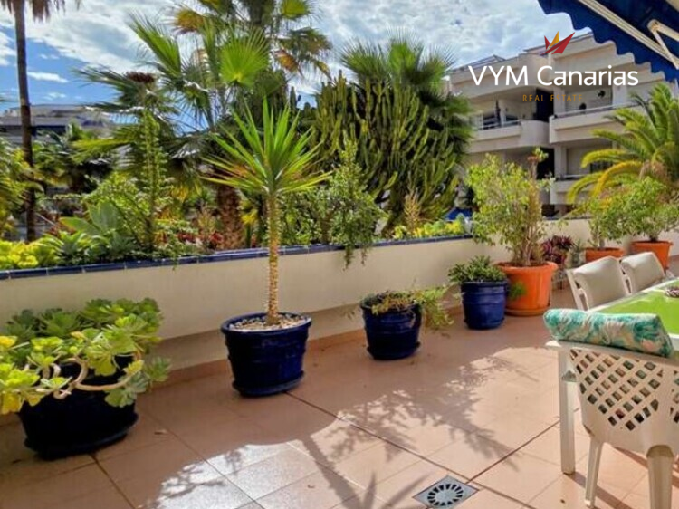 Wohnung Playa Graciosa, Los Cristianos, Arona