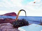 Apartamento Sotavento III, La Tejita, Granadilla de Abona