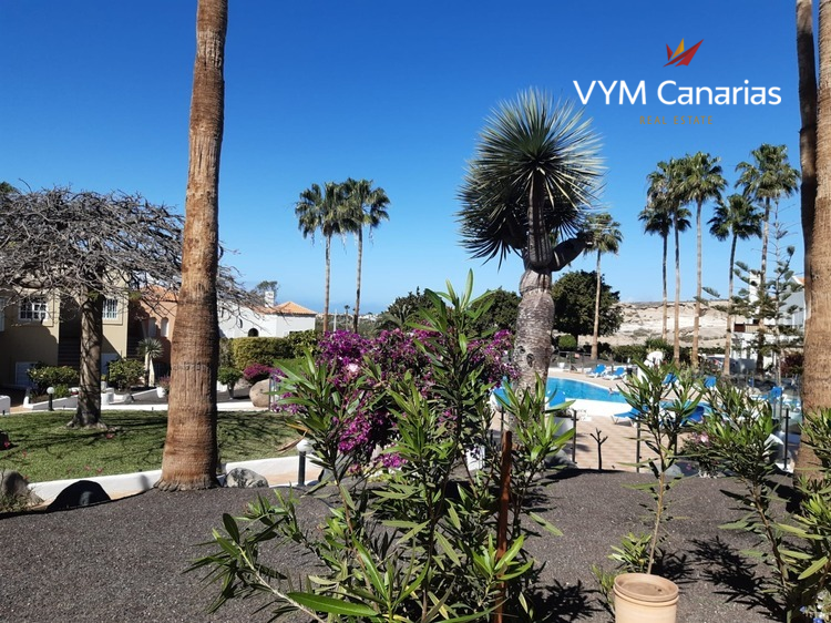 Wohnung Mango, El Duque-Costa Adeje, Adeje