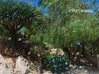 Maison / Villa Benimeit-Tabaira, Moraira