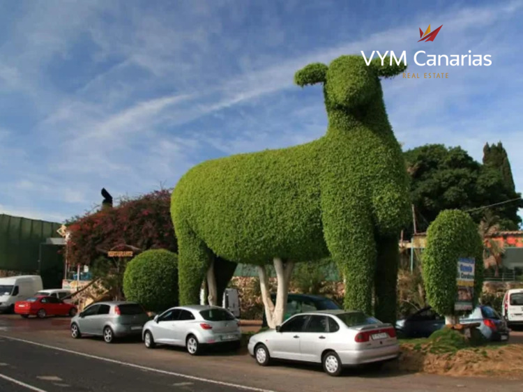 Appartement Guargacho, Arona