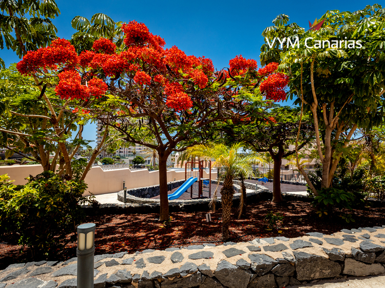 Appartement – Penthouse El Horno, Playa Paraiso, Adeje