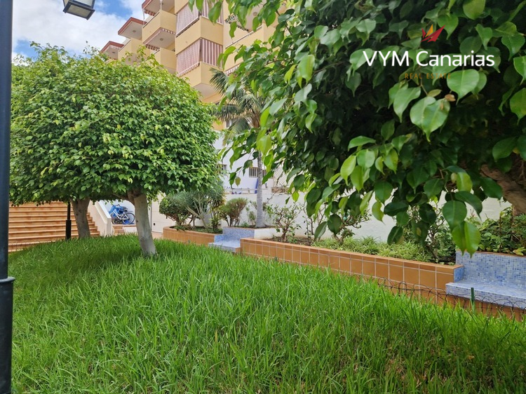 公寓 Los Angeles, Los Cristianos, Arona