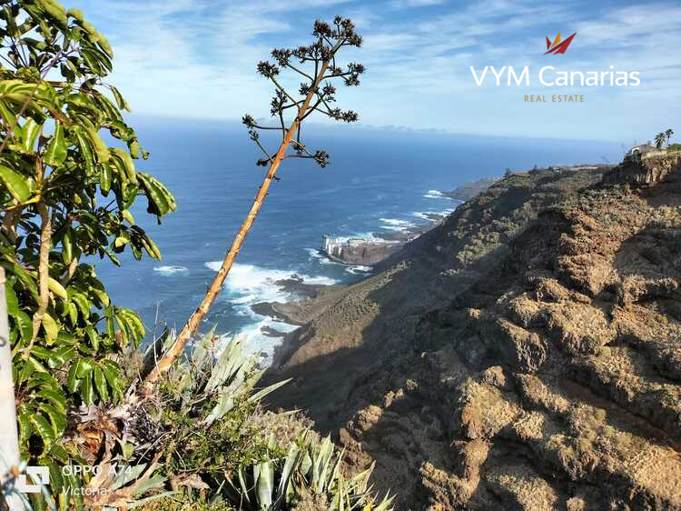 Dom / Willa – pierwsza linia Tacoronte casco, Tacoronte