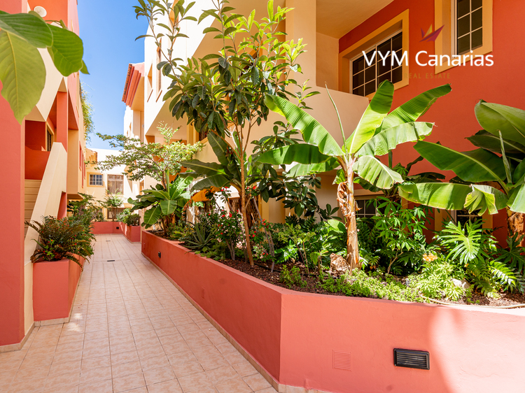 Wohnung Terrazas del Duque, El Duque-Costa Adeje, Adeje
