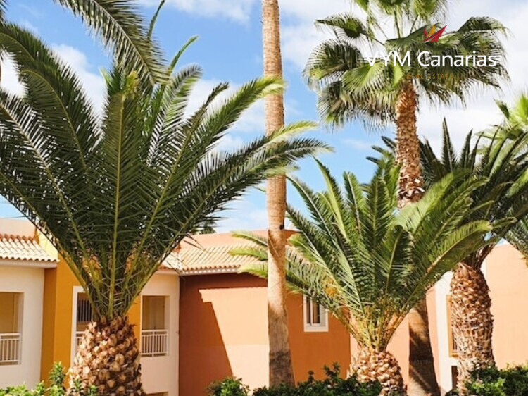 Appartement Posto Al Sole, Callao Salvaje, Adeje