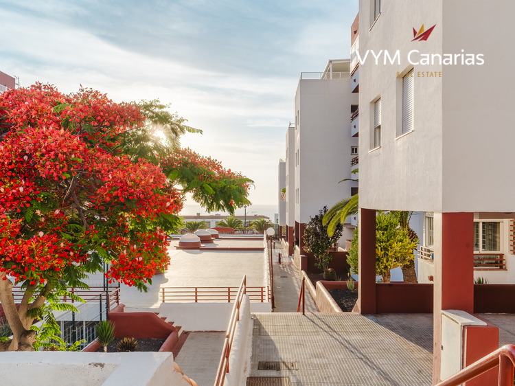 Appartement Palmeras del Sur, San Eugenio Bajo – Costa Adeje, Adeje