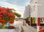 Appartement Palmeras del Sur, San Eugenio Bajo – Costa Adeje, Adeje