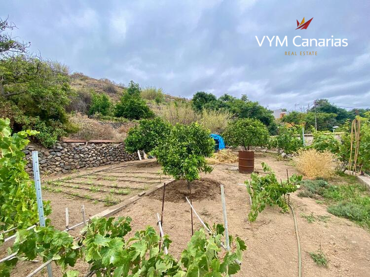 Дом / Вилла — Рустико (финка) Guimar, Guimar