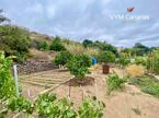 Дом / Вилла — Рустико (финка) Guimar, Guimar