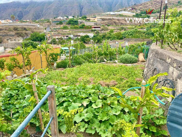 Дом / Вилла — Рустико (финка) Guimar, Guimar