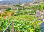 Дом / Вилла — Рустико (финка) Guimar, Guimar