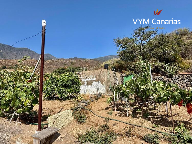 Дом / Вилла — Рустико (финка) Guimar, Guimar