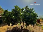 Дом / Вилла — Рустико (финка) Guimar, Guimar