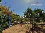 Дом / Вилла — Рустико (финка) Guimar, Guimar