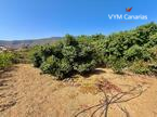 Дом / Вилла — Рустико (финка) Guimar, Guimar
